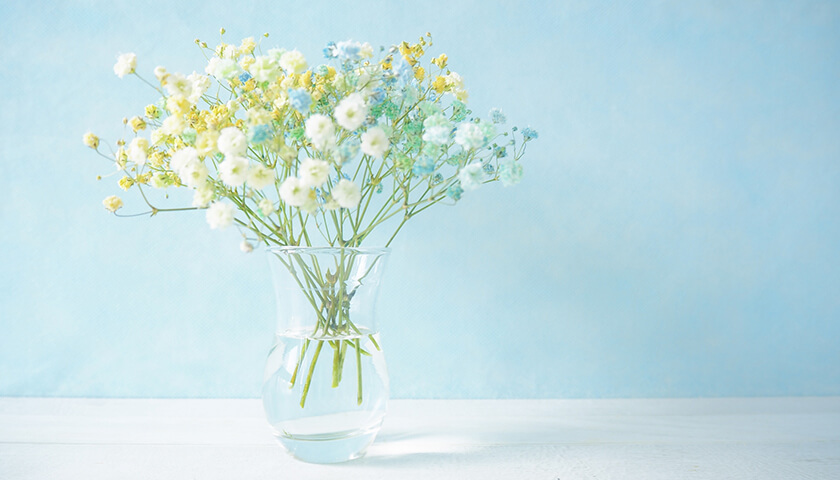 �Ǥ������������ؤ���ô�����ʤ���ˡ�ǡ��ߥ����θ����򤷤������ɤ����ˡ�����롩