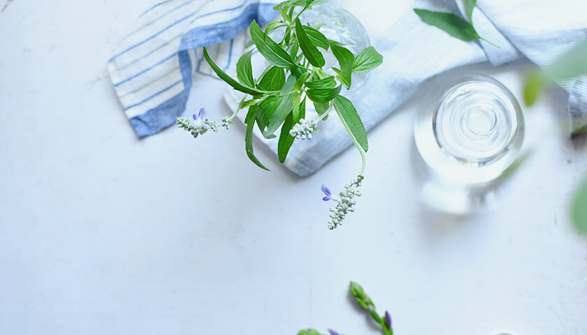 ����ǿͻ���ư�塢����ˡ���ʪ���ݤ�¿���ȤäƤ��뤬��Ρ������򤯤��֤�