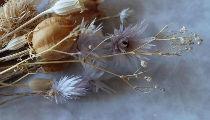 �Ƹ����ζ���CT�����ǡַ���ơפ��Ŧ���줿���٤��󤬿���