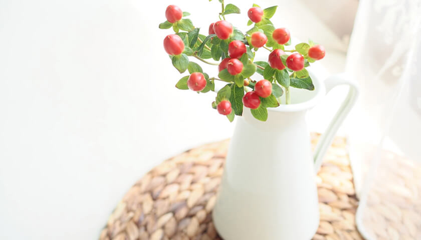 �Τɤ˥�������������ʪ����ǿ����ä���ΤΤޤ���ʪ�����Ĥ�