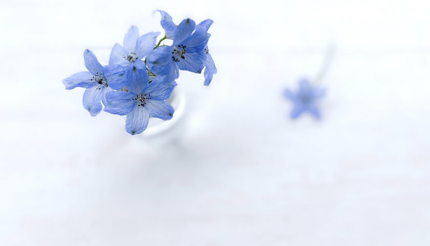 Ʊǯ���Ʊν�ˡָ��Ф���פ����Ĥ��ä������󤫤ɤ������狼�륵���󤬤�����Τꤿ��