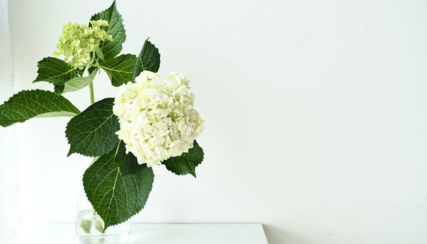 ��ƻ�����إ�˥����������Ѥ��Ƥ��뤬�ɾ����������ʤ�����Ѥβ�ǽ���Ϥ��롩