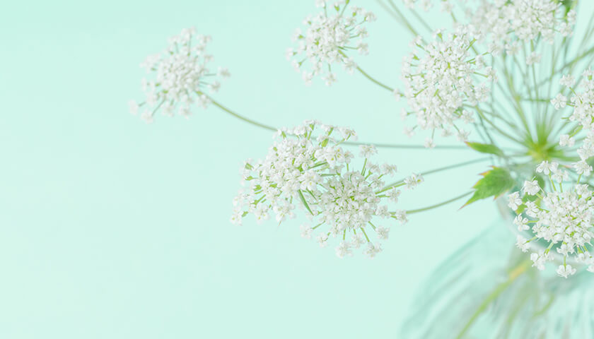 �٤Τ�˦�ʥ֥�ˤε������Ŧ���줿���٤���ˤʤ��ǽ���Ϥ��롩