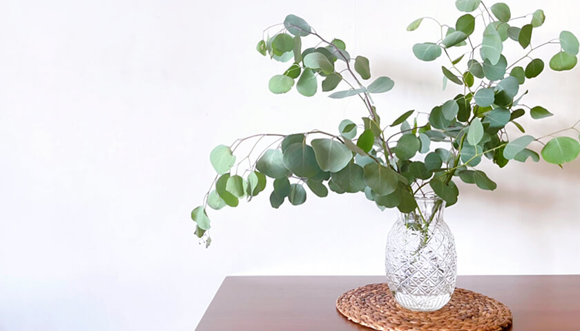 68�Ф��㤬��İ��λ��Ѥ򤤤䤬�롣��İ��ǧ�ξɤΥꥹ��������ʹ���԰�